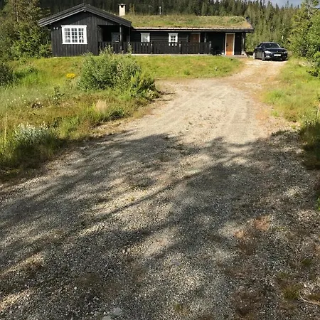 Lonnasvegen * Tuddal