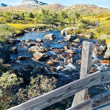 Lonnasvegen * Tuddal
