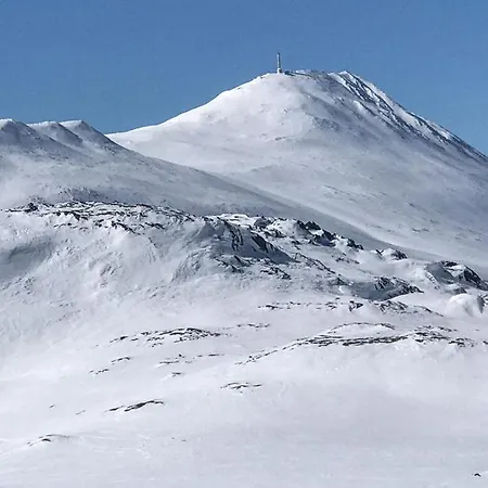 Lonnasvegen Tuddal
