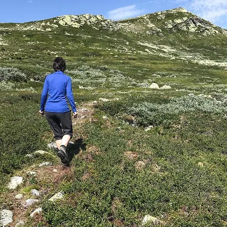 Lonnasvegen