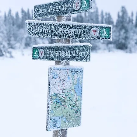 Lonnasvegen Holiday home *